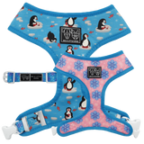 "Blue Pengiuns" Reversible Harness