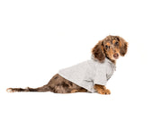 "Grey Hoodie" Dog Shirt