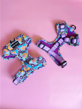 "Happy Go Lucky Leopard" Adjustable Harness