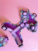 "Happy Go Lucky Leopard" Adjustable Harness