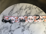 "Orange Blossom" Leash