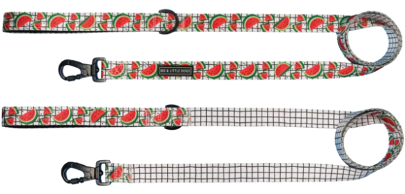 "A Slice of Summer " Reversible Leash