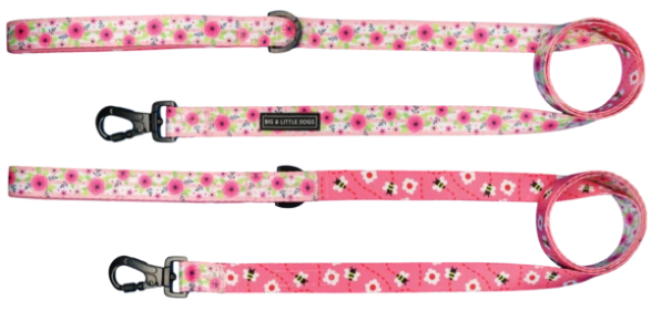 "Pretty as can Bee" Reversible Leash