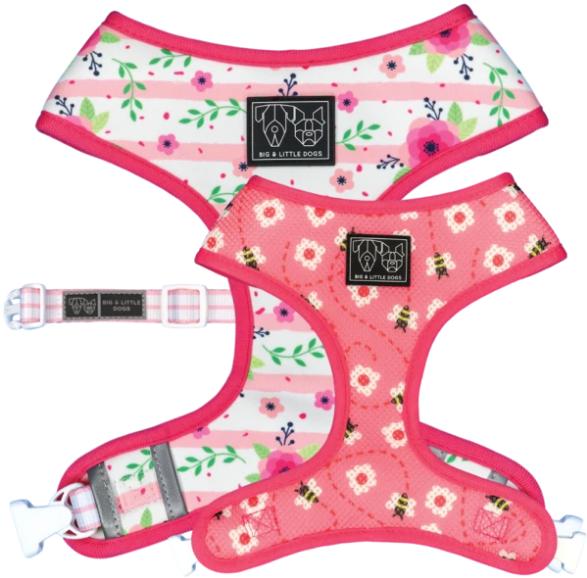 "Pretty as can Bee " Reversible Harness