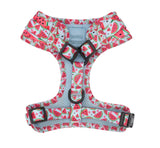 "Oh My Melons"Adjustable Harness