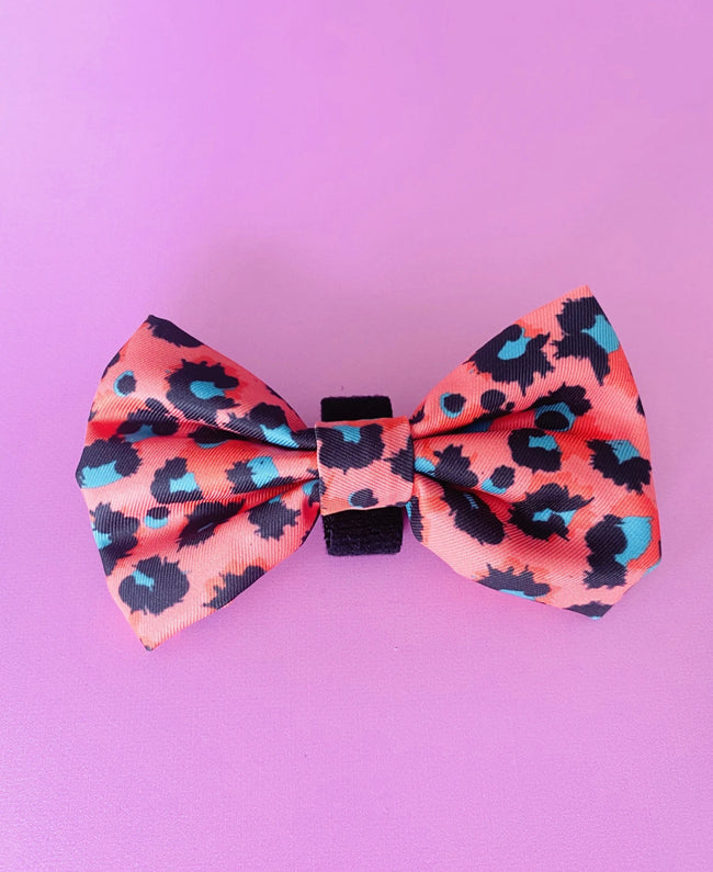 “Spotted Cheetah" Collar & Bowtie