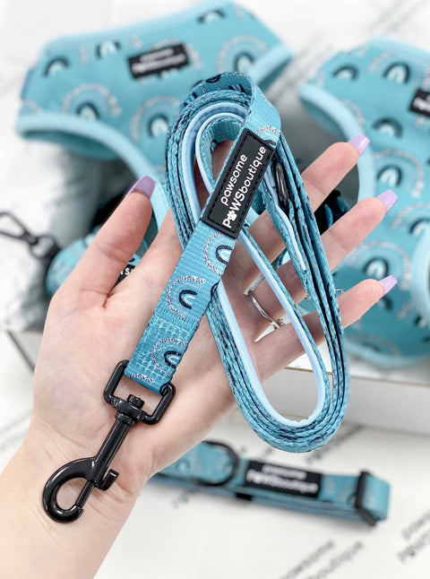 "Spot the Rainbow" Leash