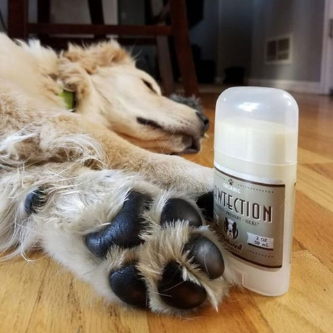 Paw Tection  2oz