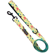 “Summer” Reversible Leash